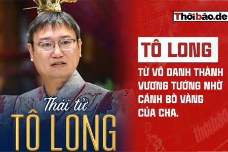 TÔ LONG – TỪ VÔ DANH THÀNH VƯƠNG TƯỚNG NHỜ CÁNH BÒ VÀNG CỦA CHA.