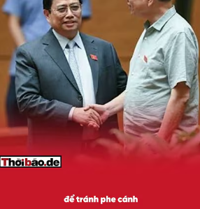 LUẬT HỒI TỴ KIỂU MỚI: CHUYỂN GHẾ ĐỂ GIỮ GHẾ