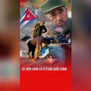 물고기: 쿠바 ‘섬나라’에서 사치품이 된 식탁의 주인공!