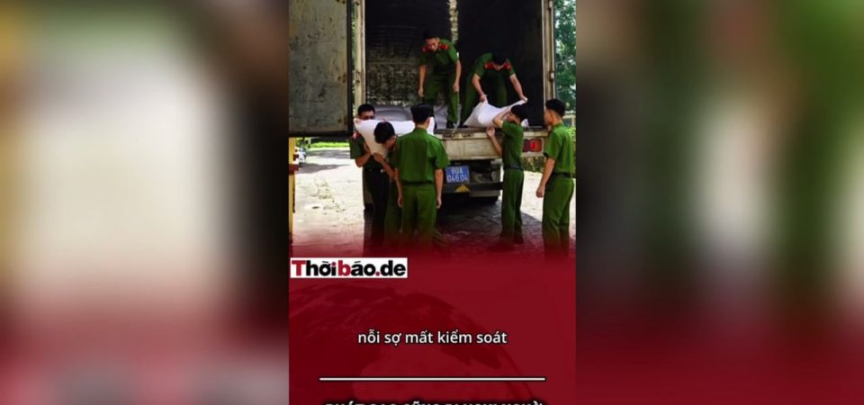 PHÁT GẠO CŨNG BỊ NGHI NGỜ: NỖI SỢ “TỰ DO” ĐẾN MỨC NÀO?