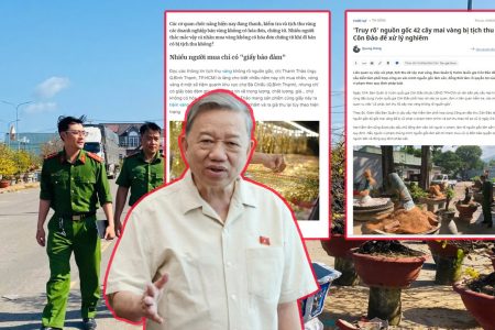 Vàng và cây cối dân không giấy tờ bị tịch thu, biệt phủ siêu xe quan chức vẫn ung dung!