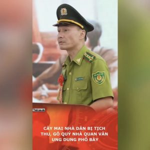 Cây mai nhà dân bị tịch thu, gỗ quý nhà quan vẫn ung dung phô bày.