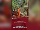 Rừng Măng Đen đứng trước nguy cơ bị xóa sổ
