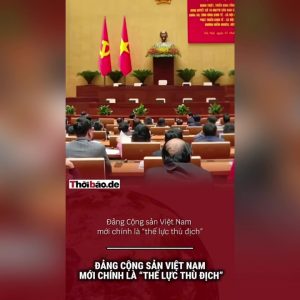 El Partido Comunista de Vietnam es, en realidad, la «fuerza hostil»