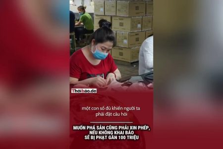 Muốn phá sản cũng phải xin phép, nếu không khai báo sẽ bị phạt gần 100 triệu