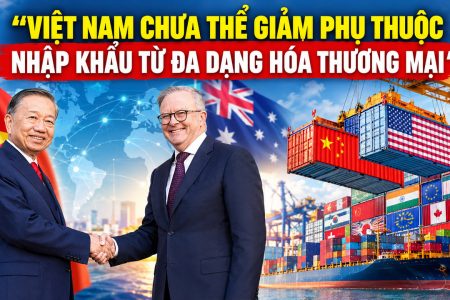 Việt Nam chưa thể giảm phụ thuộc nhập khẩu từ đa dạng hóa thương mại